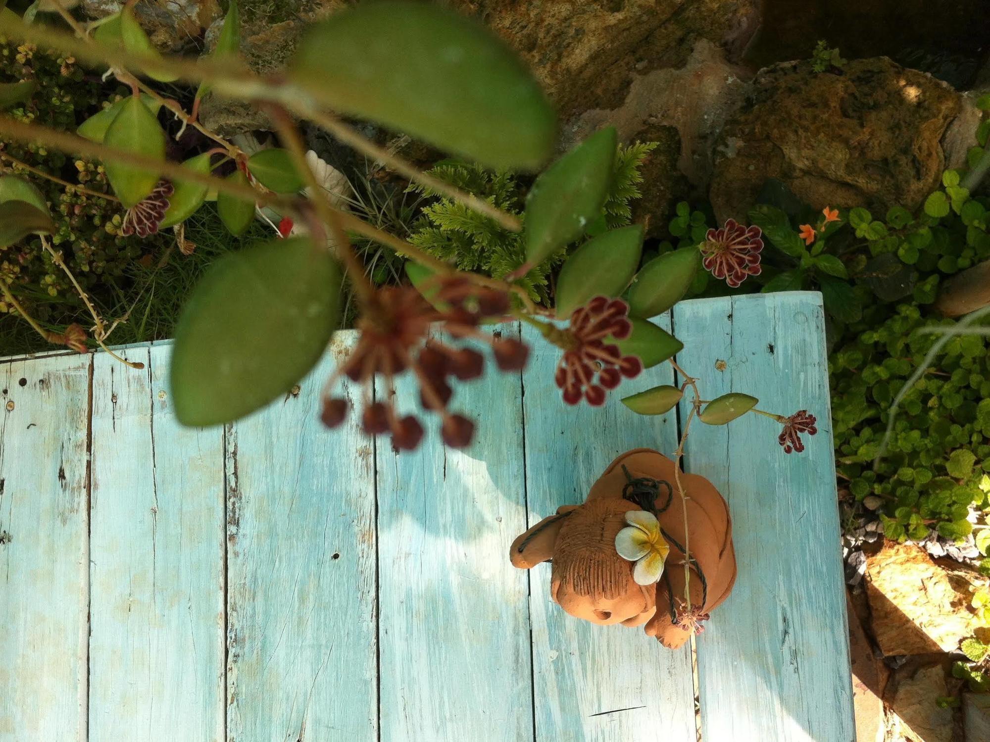 Khao Yai Cottage Mu Si Eksteriør bilde
